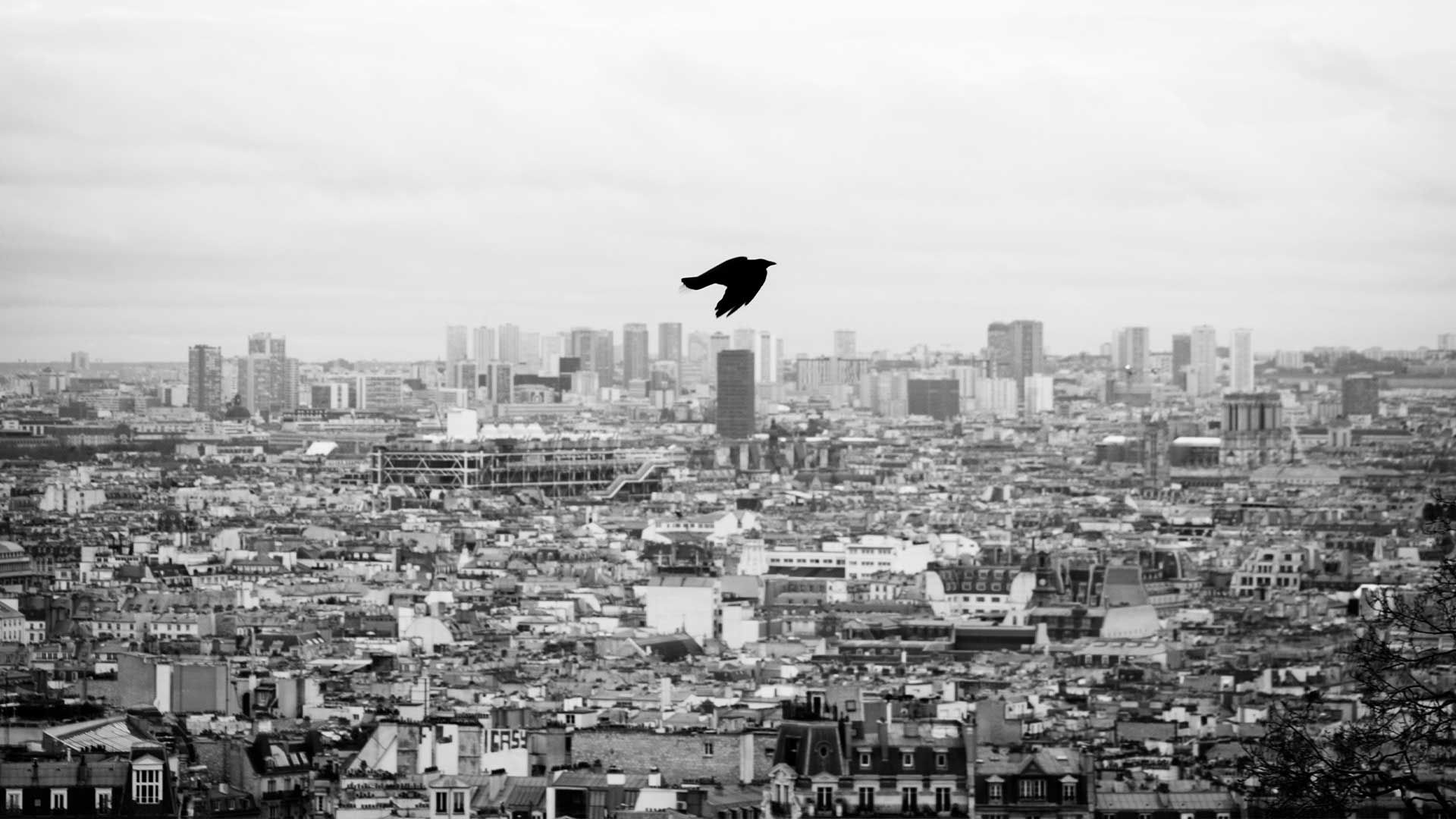 Photographie en noir et blanc de la ville de Paris