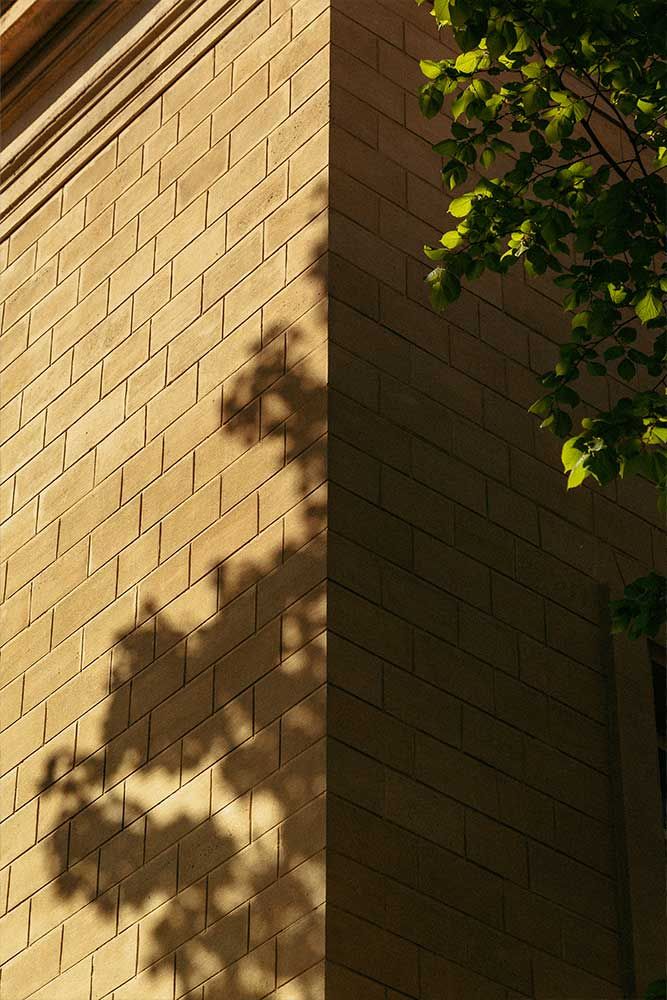 Photographie de l'Ecole Spéciale d'Architecture à Paris