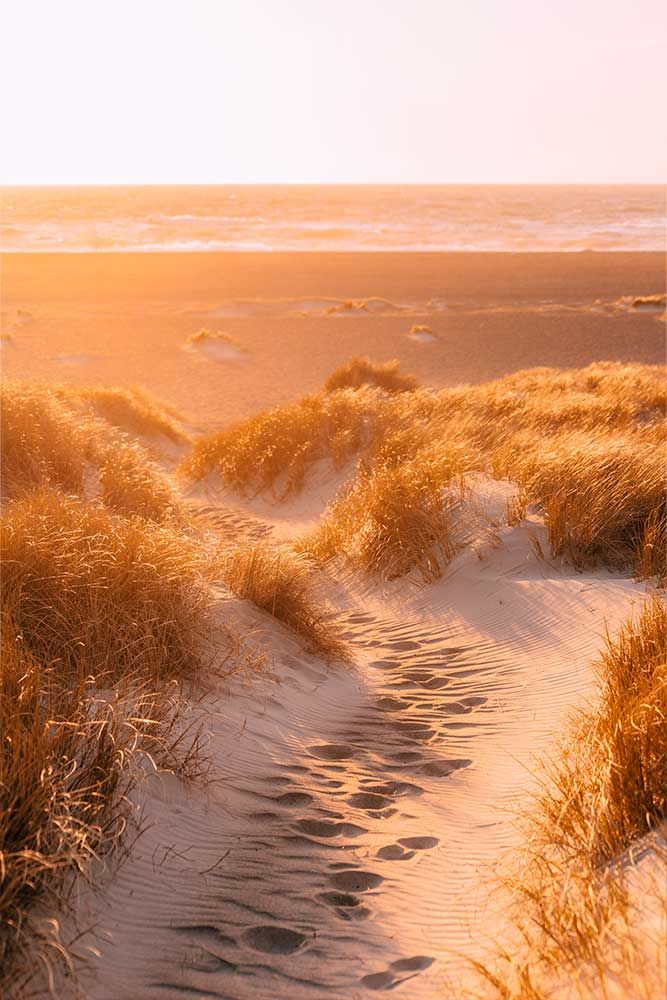 Photographie de jour ensoleillé à la plage au Danemark