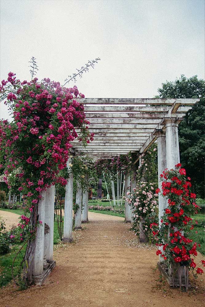 Photographie d'une structure dans un parc de Lyon