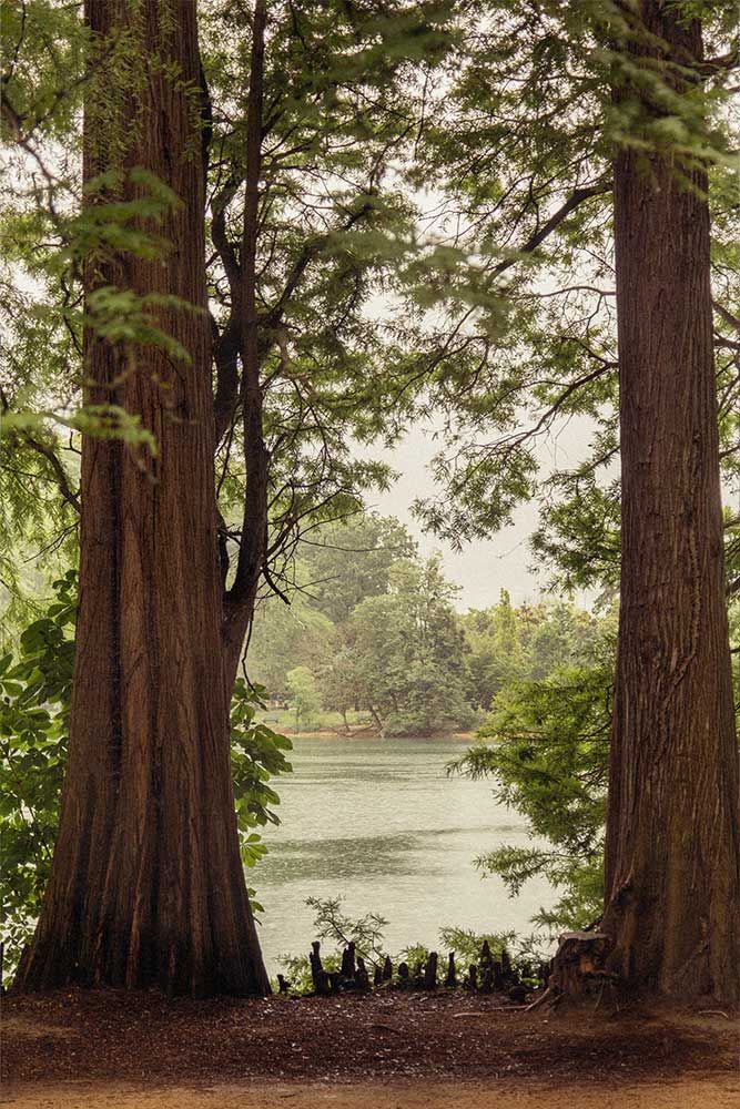 Photographie nature à Lyon